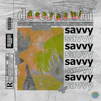 Destashi by Savvyhoes