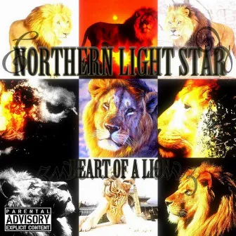 Heart Of A Lion by Northern Light Star