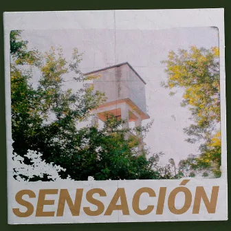 Sensación by Serve