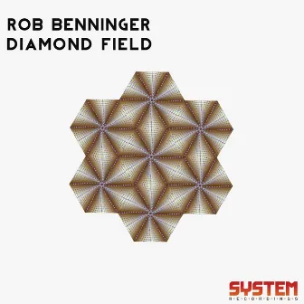 Diamond Field by Rob Benninger