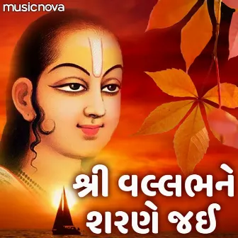 Shri Vallabh Ne Sharne Jai by Amit Patel