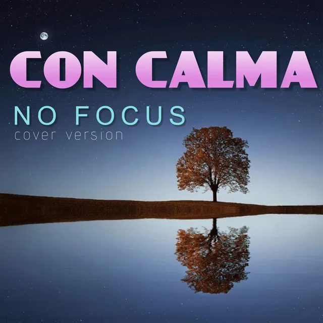 Con Calma - Cover Version