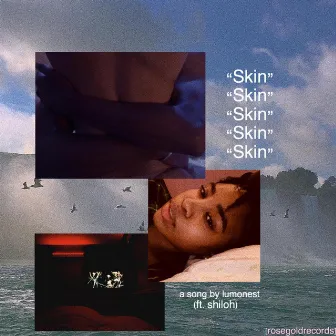 Skin by Lumonest