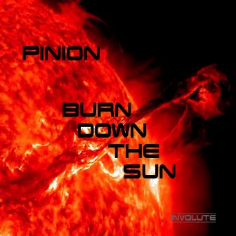 Burn Down The Sun by Pinion