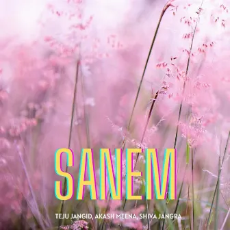 Sanem by 