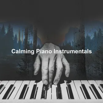 Calming Piano Instrumentals by Peaceful Piano Chillout