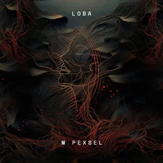 Loba by M Pexsel