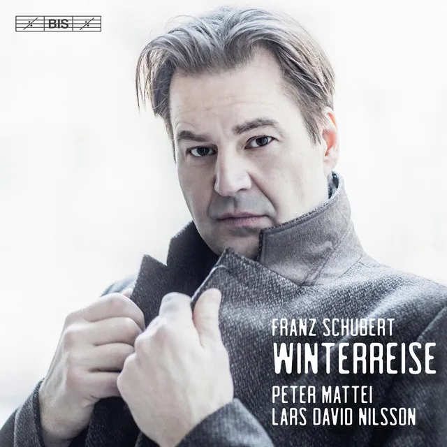 Winterreise, Op. 89, D. 911: No. 12, Einsamkeit