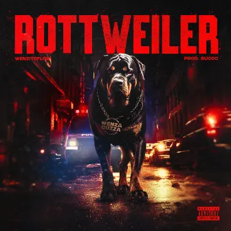 Rottweiler by WenzitoFlow