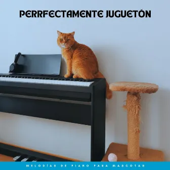 Perrfectamente Juguetón: Melodías De Piano Para Mascotas by Jazz instrumental relajante