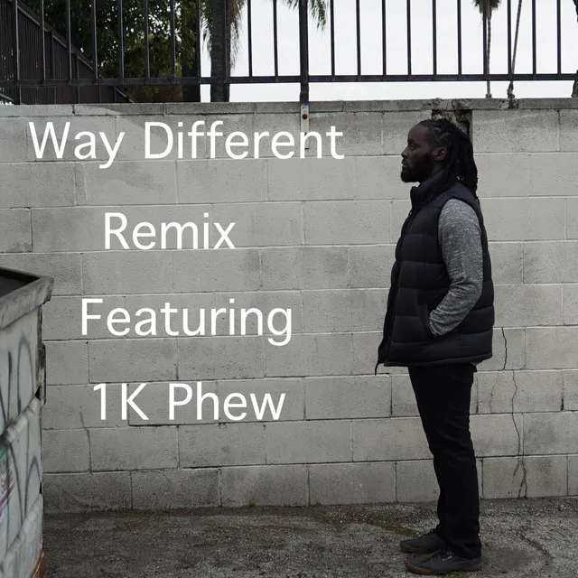 Way Different (Remix)