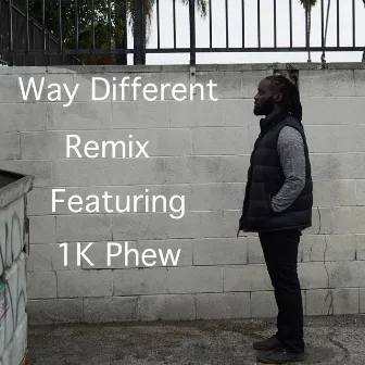 Way Different (Remix) by Ignatius