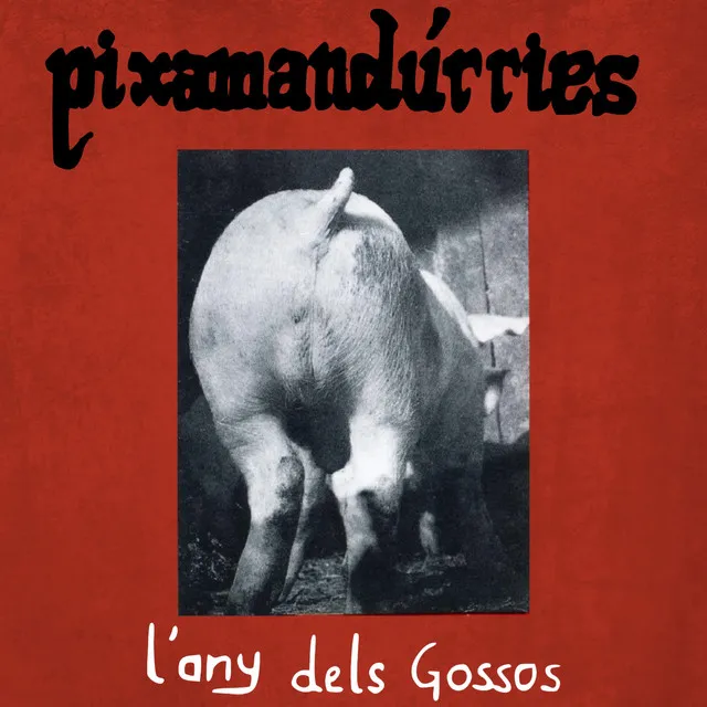 L´any dels gossos