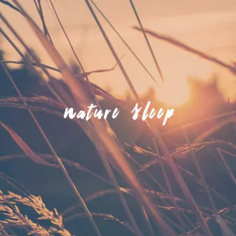 Nature Sleep by Rain Sleep