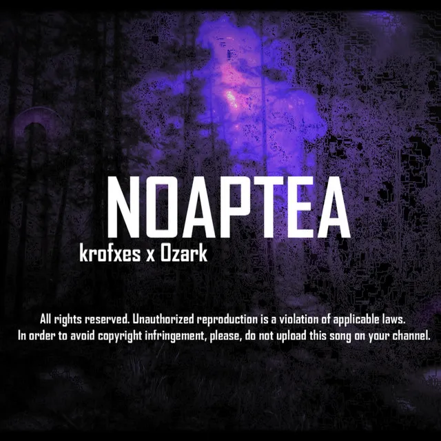 NOAPTEA