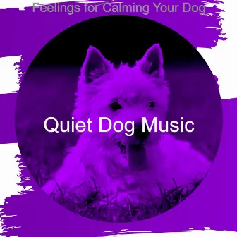 Feelings for Calming Your Dog by 