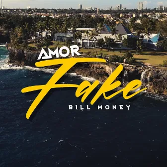 Amor Fake by peluca films