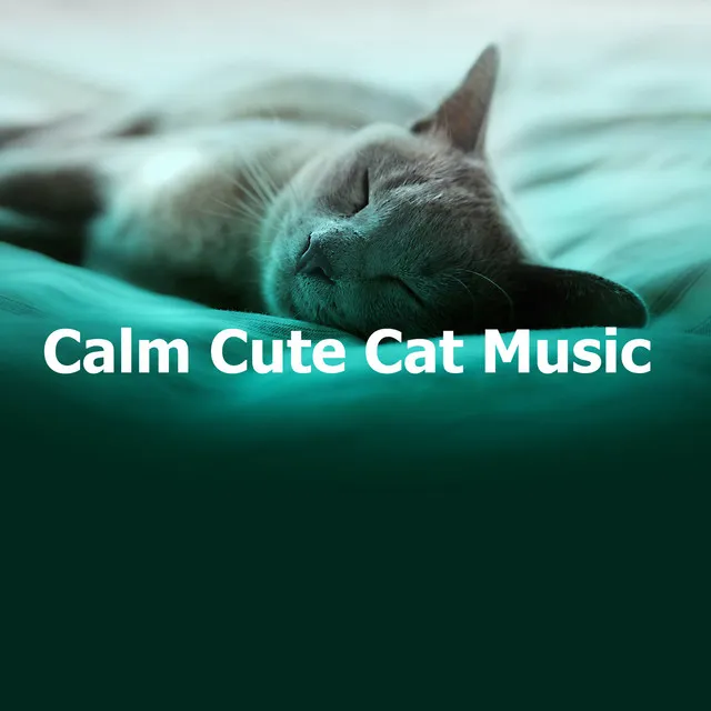 Calm Cute Cat Music