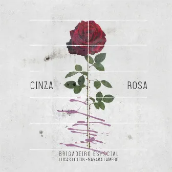 Cinza Rosa by Brigadeiro Espacial