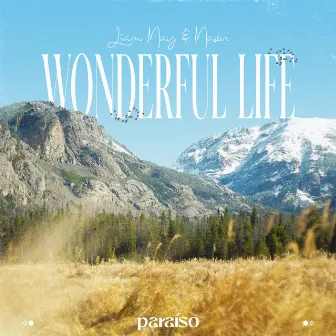 Wonderful Life by Liam May