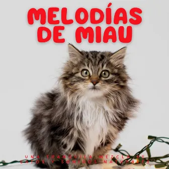 Melodías De Miau: Una Tranquila Mezcla De Gatos Y Sonidos Naturales by Madre naturaleza