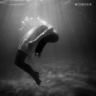 Wonder by Nikonn