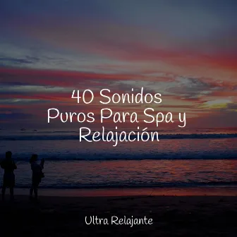 40 Sonidos Puros Para Spa y Relajación by Meditacion Budista Maestros