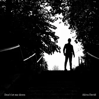 Don't let me down by Akiva David