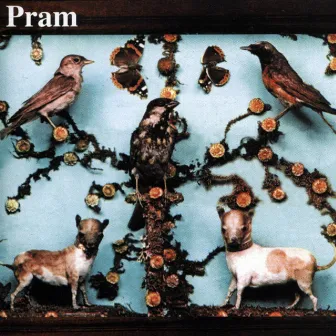 The Museum Of Imaginary Animals by Pram