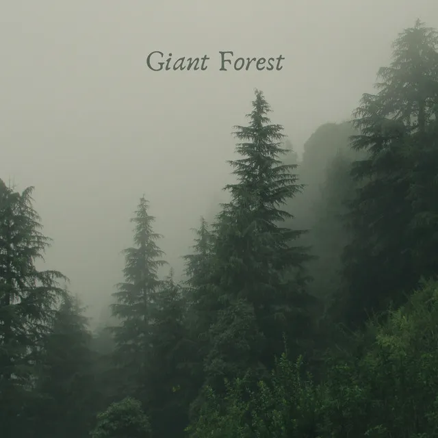 Giant Forest