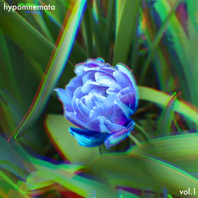 hypomnemata (vol. 1)