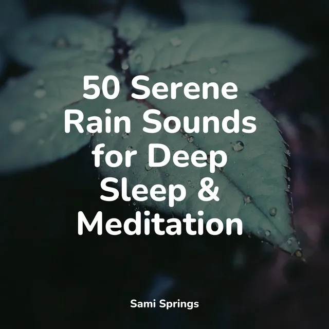 50 Serene Rain Sounds for Deep Sleep & Meditation