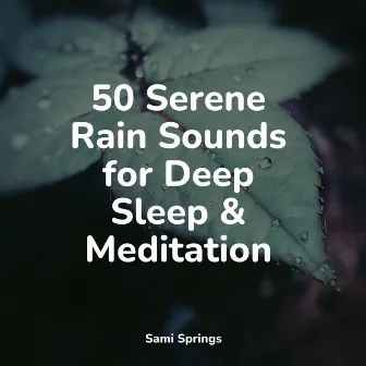 50 Serene Rain Sounds for Deep Sleep & Meditation by Study Zone