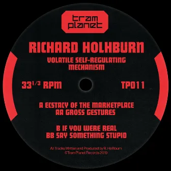 Volatile Self-Regulating Mechanism by Richard Holhburn