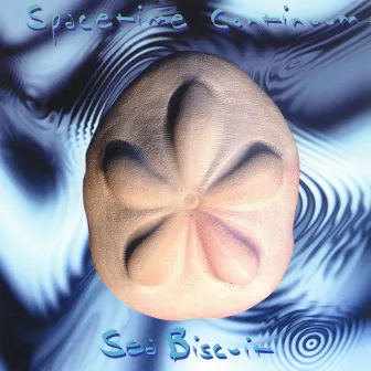 Sea Biscuit by Spacetime Continuum