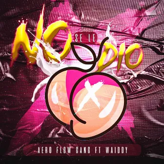 No Se Le Dio by Aero Flow Gang