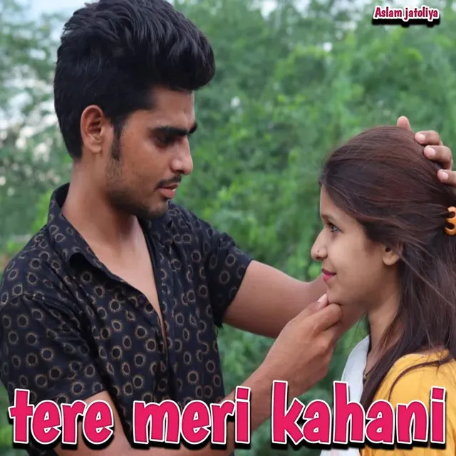 Teri meri kahani