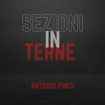 Sezioni Interne by Antonio Ponti