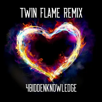 Twin Flame (Remix) by 4biddenknowledge