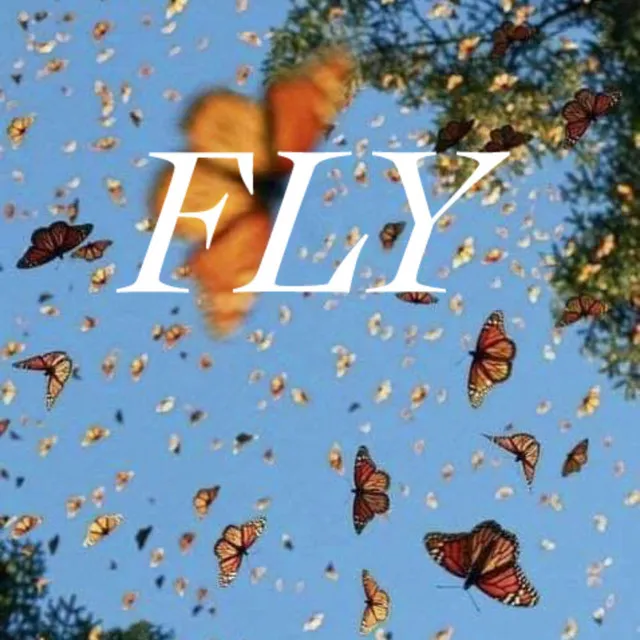 Fly