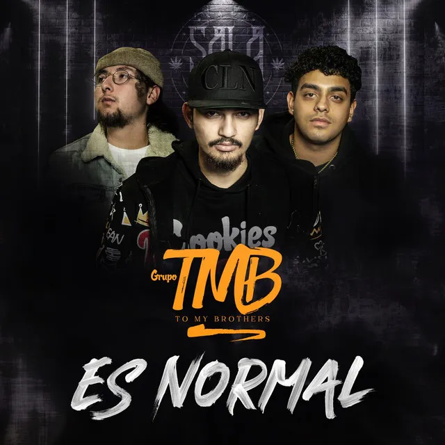 Es Normal