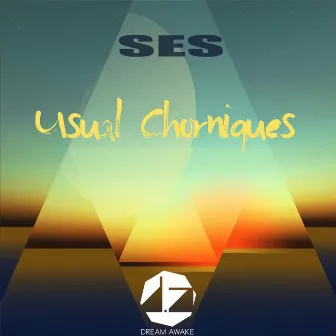 Usual Chroniques by SES