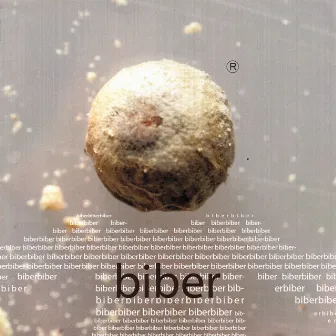 Biber by Biber