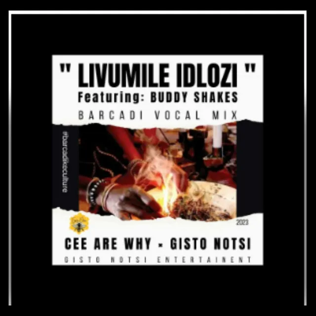 Livumile Idlozi (Barcadi Mix)