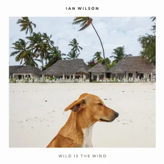 Wild Is the Wind by Ian Wilson