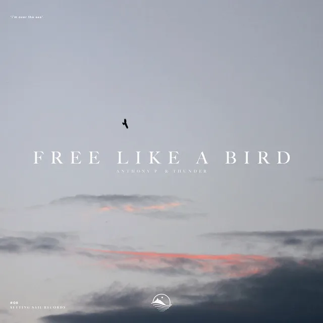 Free Like a Bird