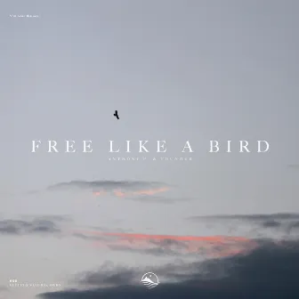 Free Like a Bird by Anthony P. (CH)