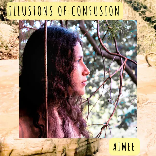 Illusions of Confusion