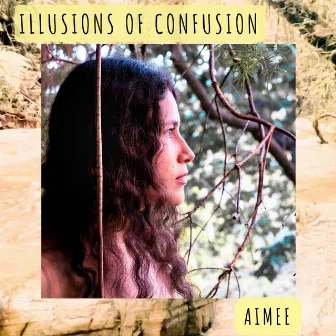 Illusions of Confusion by Aimee