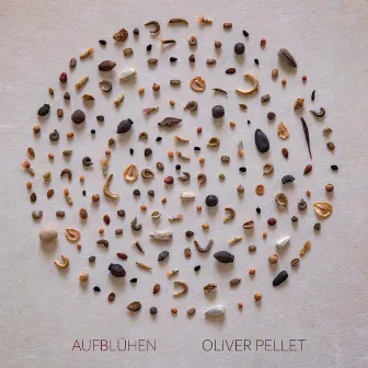 Aufblühen by Oliver Pellet